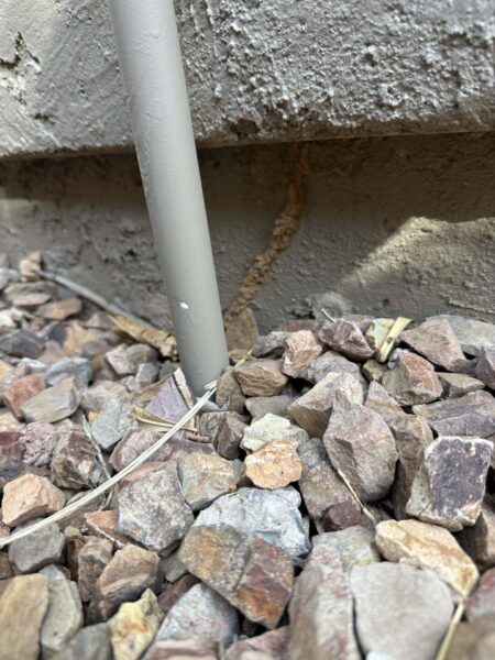 Termite treatment East Valley Arizona